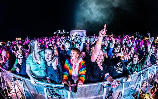 image of fans at the Ultimate Festival in Poole